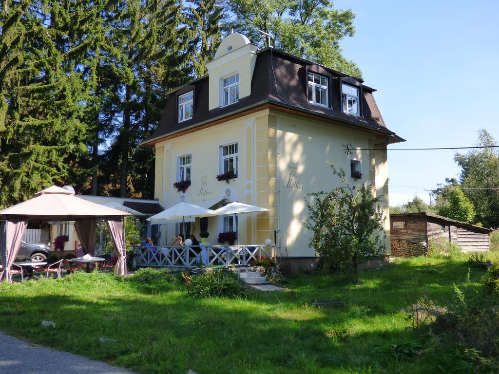 Villa Meteor Mariánské Lázně Εξωτερικό φωτογραφία