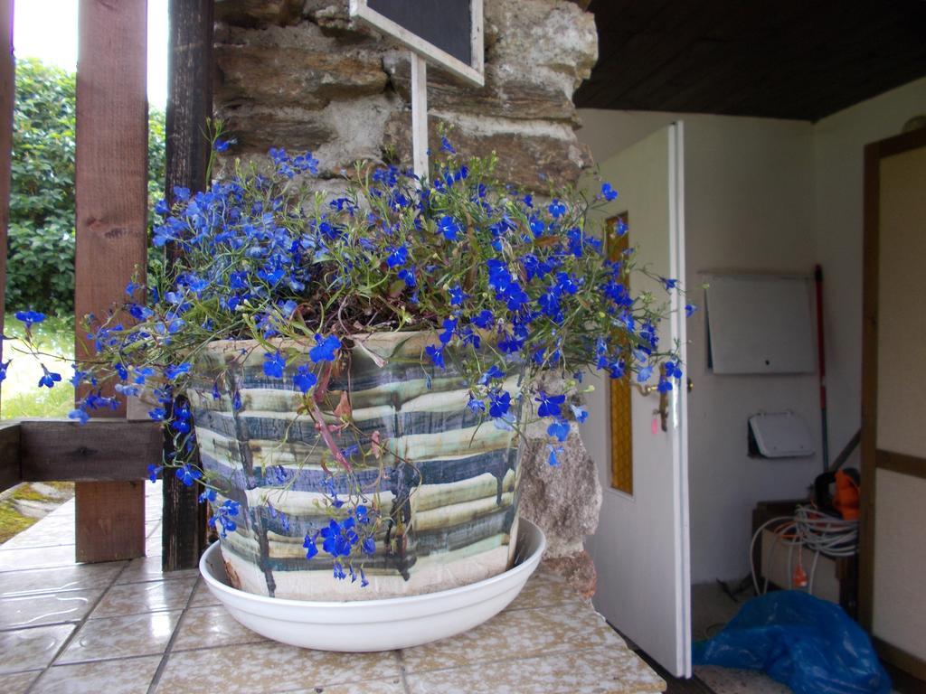 Villa Meteor Mariánské Lázně Εξωτερικό φωτογραφία